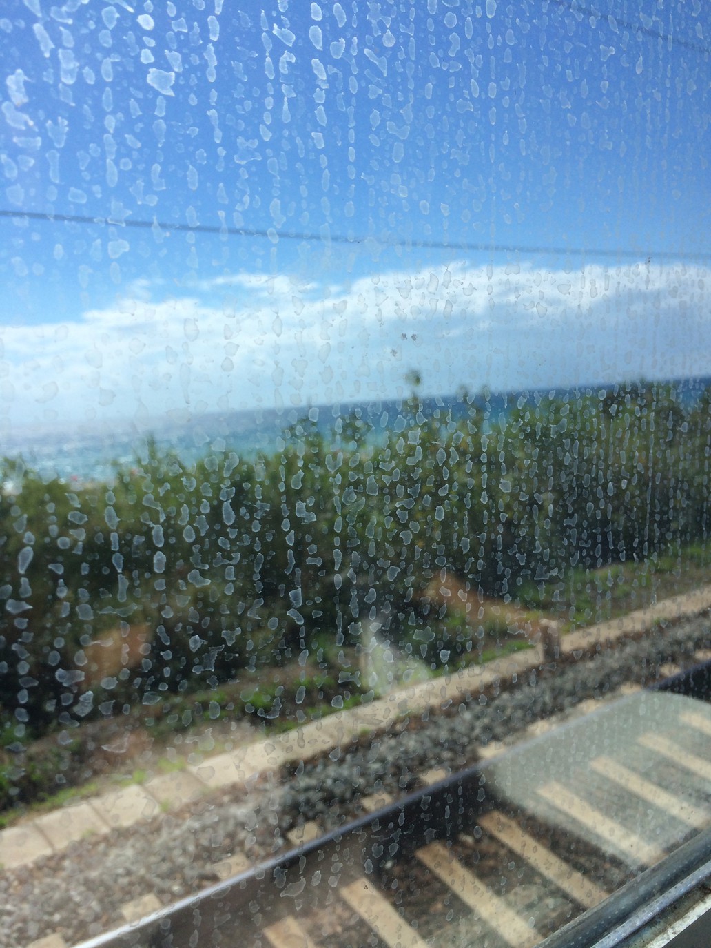 Paesaggio sfocato visto da una finestra di treno sporca.