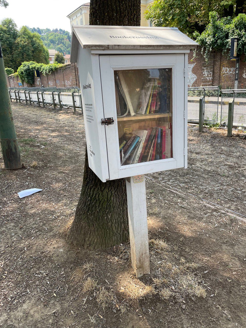 Un deposito di bookcrossing di fronte al tronco di un albero.