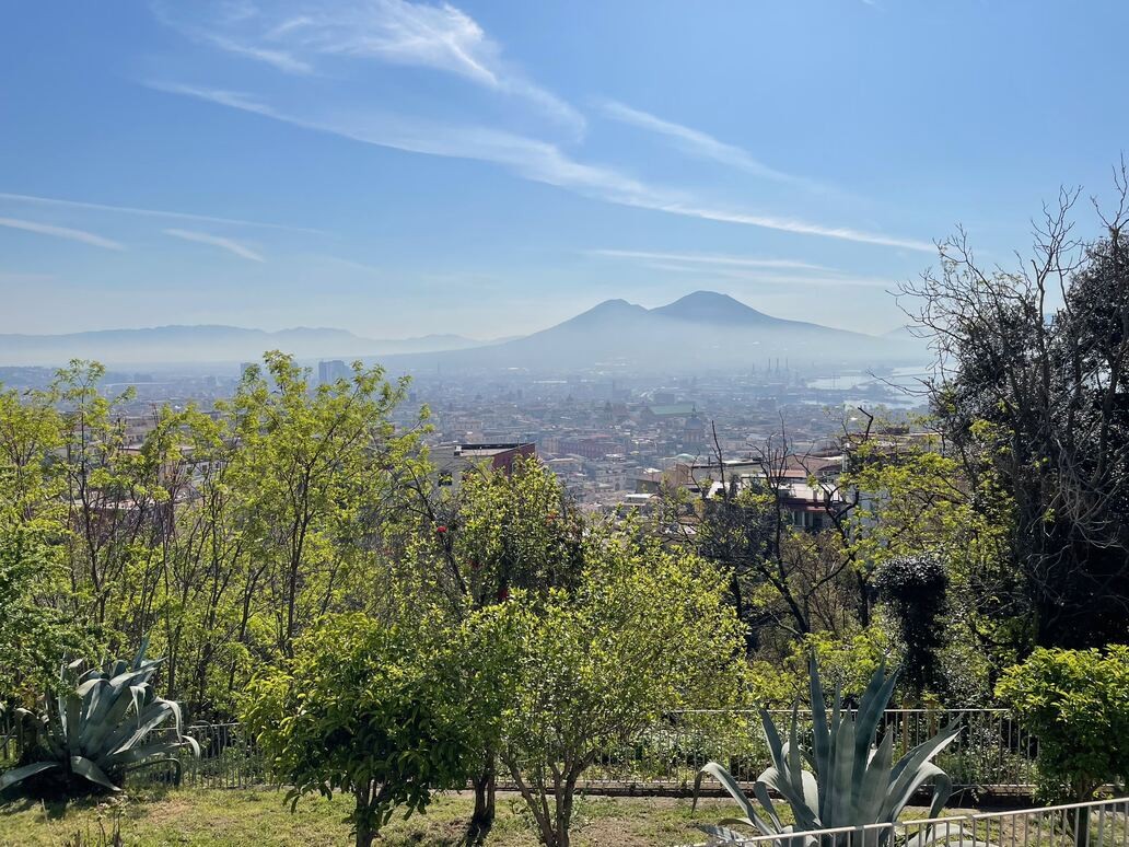 Cielo sereno, Vesuvio in fondo, vista su Napoli, e qualche arbusto al primo piano.